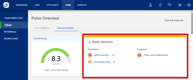 Team - Pulse Overview (Account Details) (1.12.26) (OvRating+NeedsAttn) (NeedsAttn highlight)